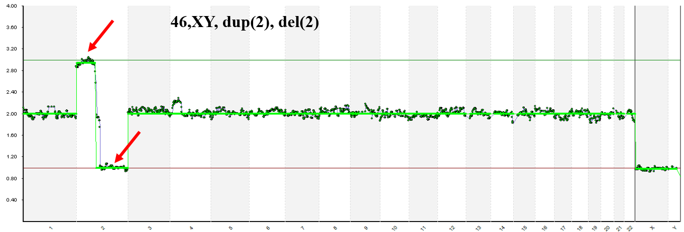 NGS Chromosome 2